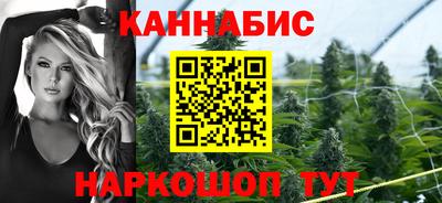 сатива Жуковский