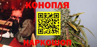 сатива Жуковский