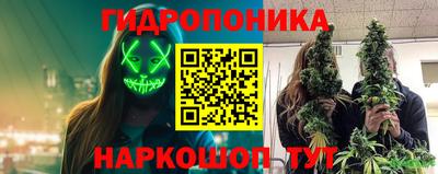 сатива Жуковский