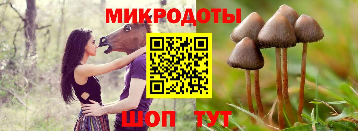 Псилоцибиновые грибы мухоморы  Галлюциногенные грибы MAGIC MUSHROOMS  Евпатория  Вход с VPN 